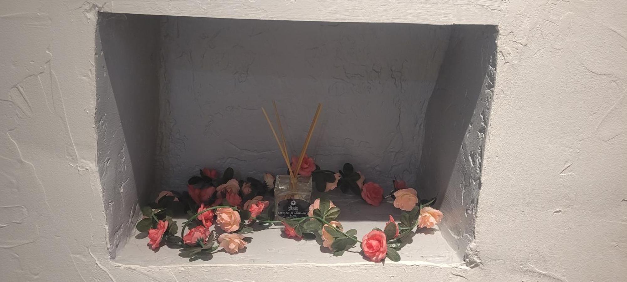 Apartmán Parfum Rose Grasse Exteriér fotografie